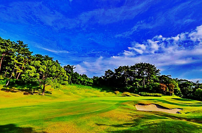 有馬ロイヤル　コース画像