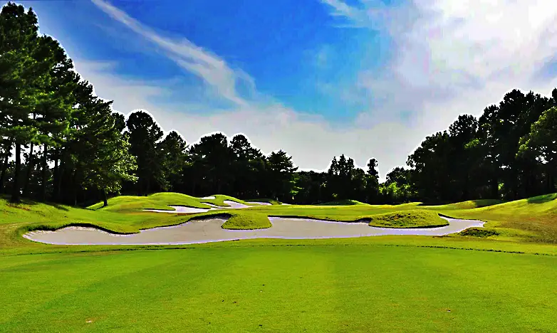 有馬ロイヤル　ノーブル12番