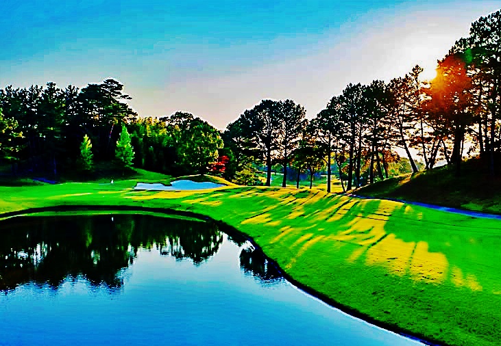 有馬ロイヤル　ノーブル16番