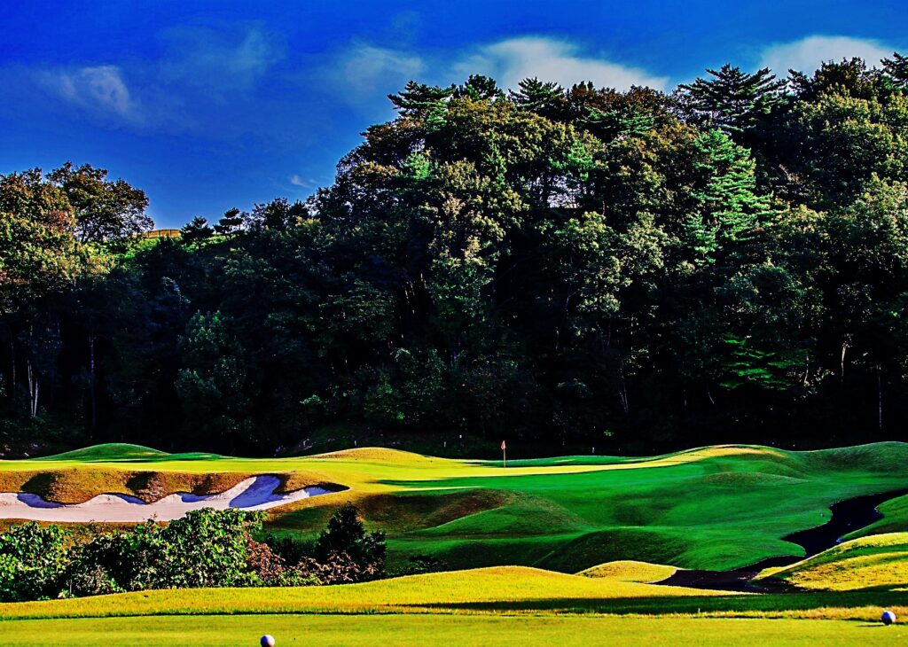 有馬ロイヤル　ノーブル5番