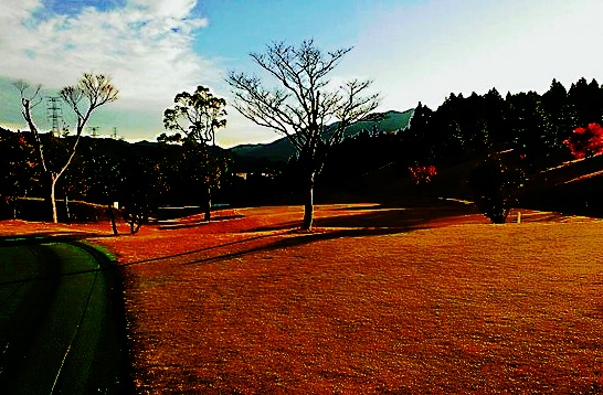 ダイヤモンド滋賀　コース画像