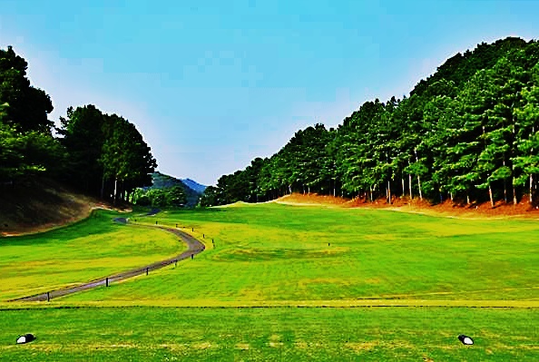 泉佐野 コース画像
