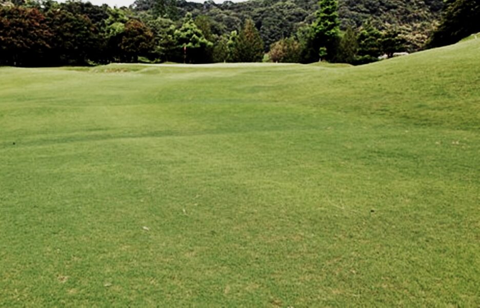 紀の国11番ホール