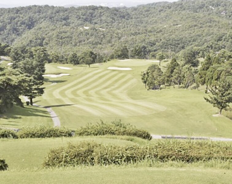 有馬富士12番コース