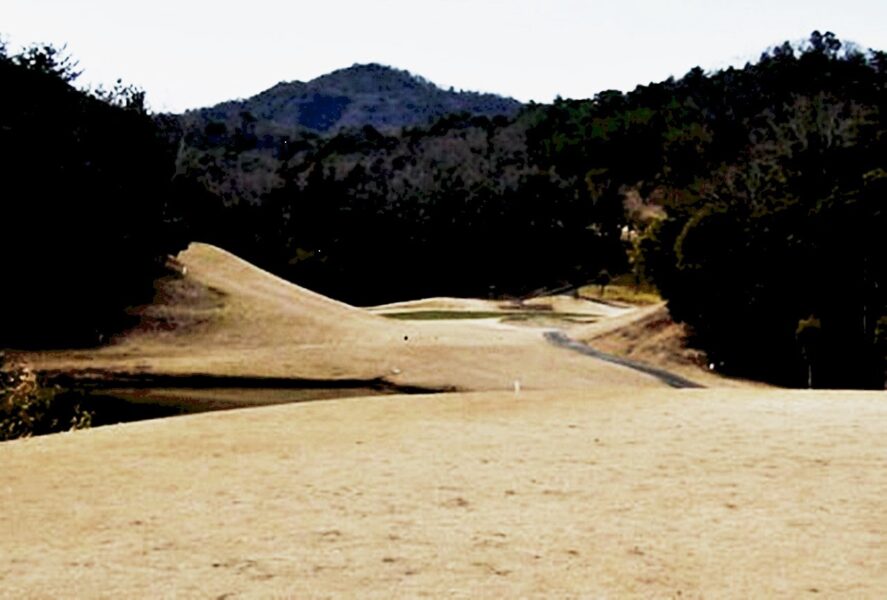 つるやコース画像