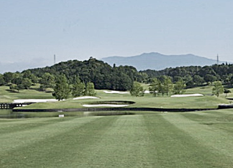エクセレント 大鷲