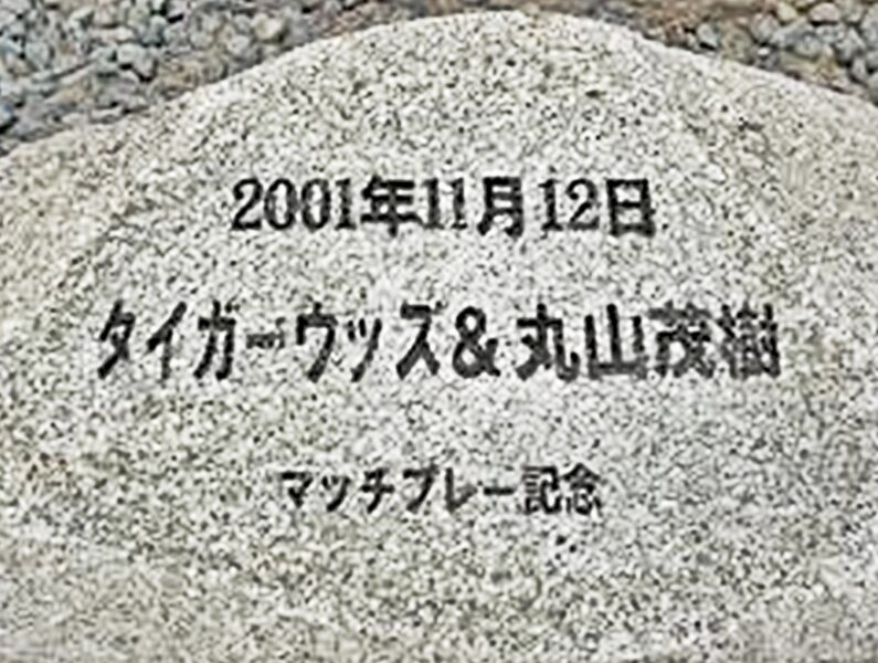 タイガーVS丸山