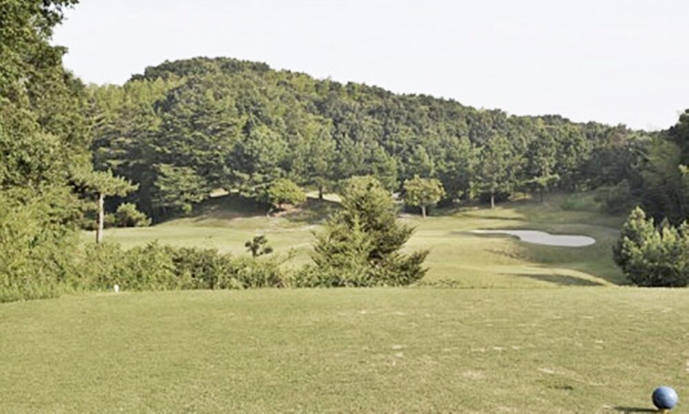 ダンロップ13番