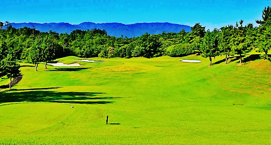 日野　クイーン１２番