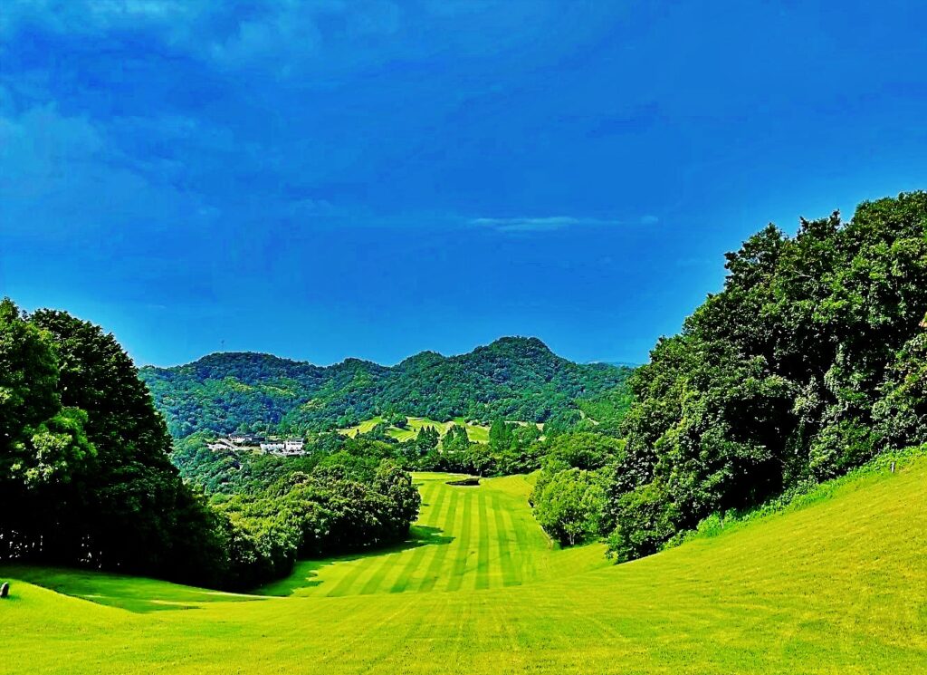 青山台 コース画像