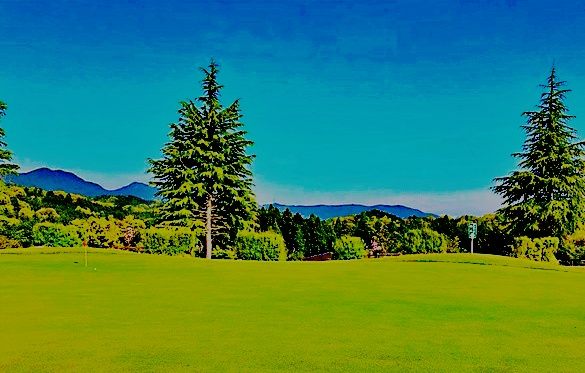 阿騎野　パター練習場