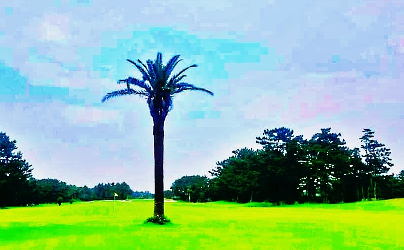 伊良湖 コース画像