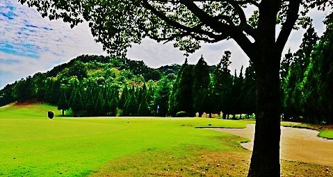 加西カントリー コース画像