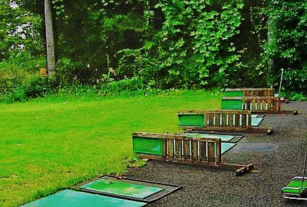 加西カントリー 練習場