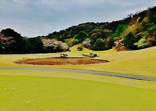 紀南　コース画像.1