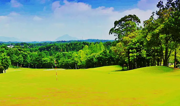 花屋敷　ひろの12_03番