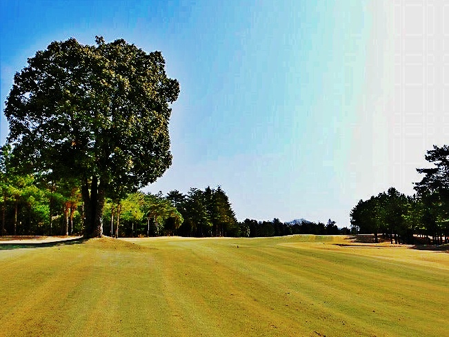 花屋敷　ひろのコース画像