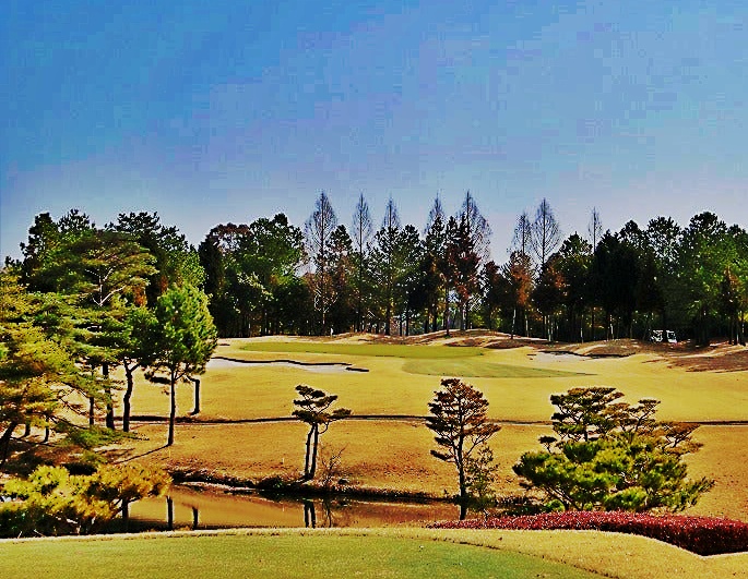 花屋敷　ひろの５番