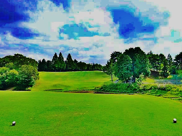 花屋敷　ひろの７番