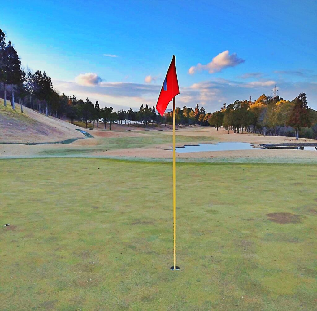 中京 コース画像