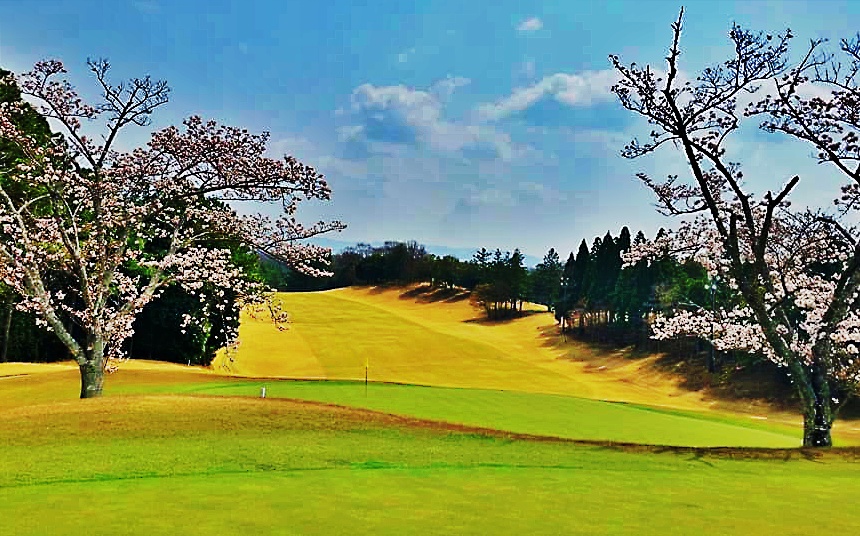 北神戸　コース画像