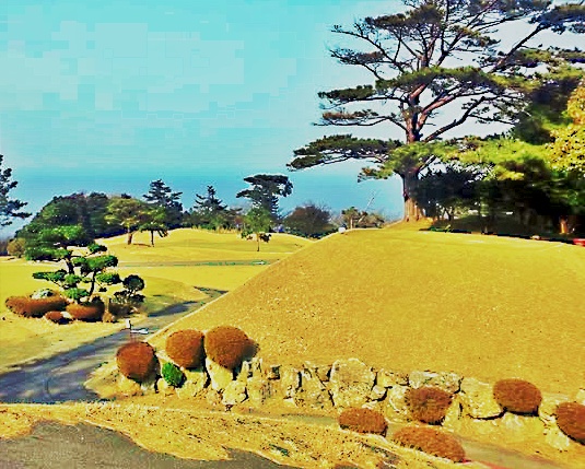 城崎 コース画像1