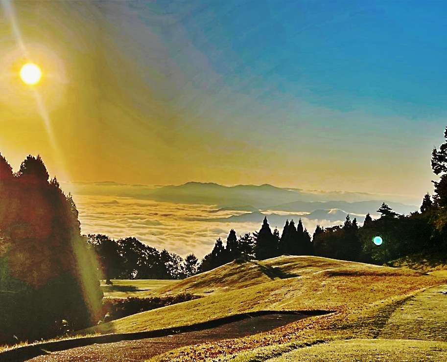 大岡　コース画像