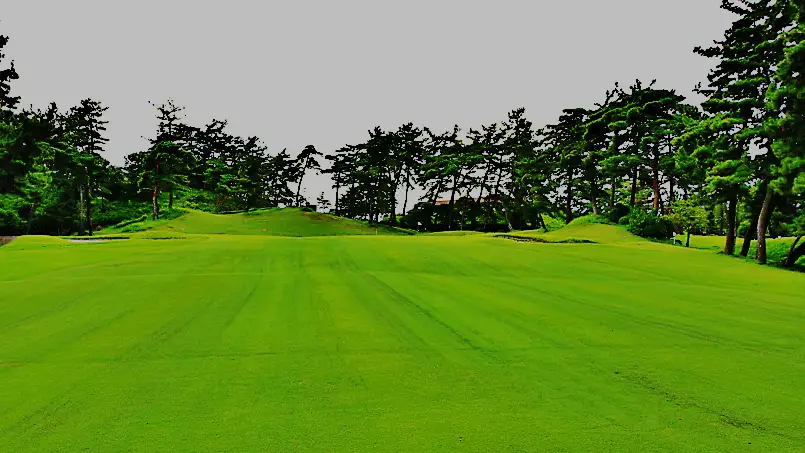 桑名国際　鈴鹿9番