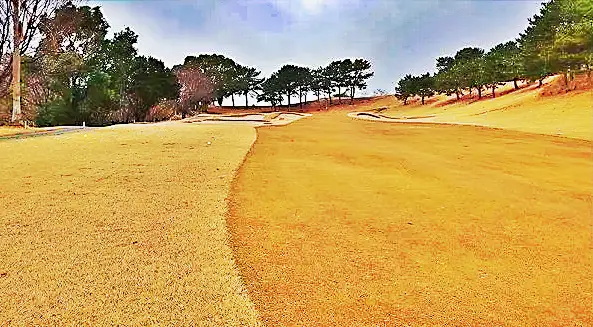 土佐 室戸9番