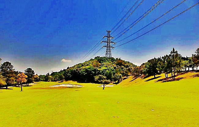 天野山　西５番