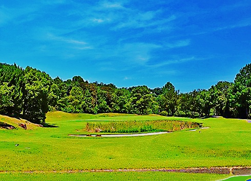 天野山EastCourse_No.5