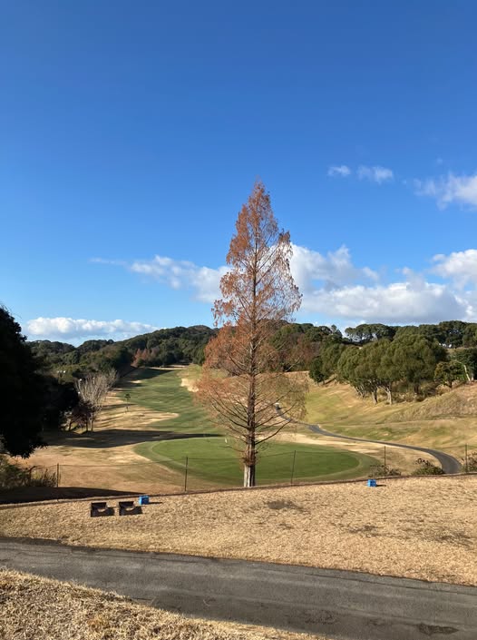 貴志川　コース画像