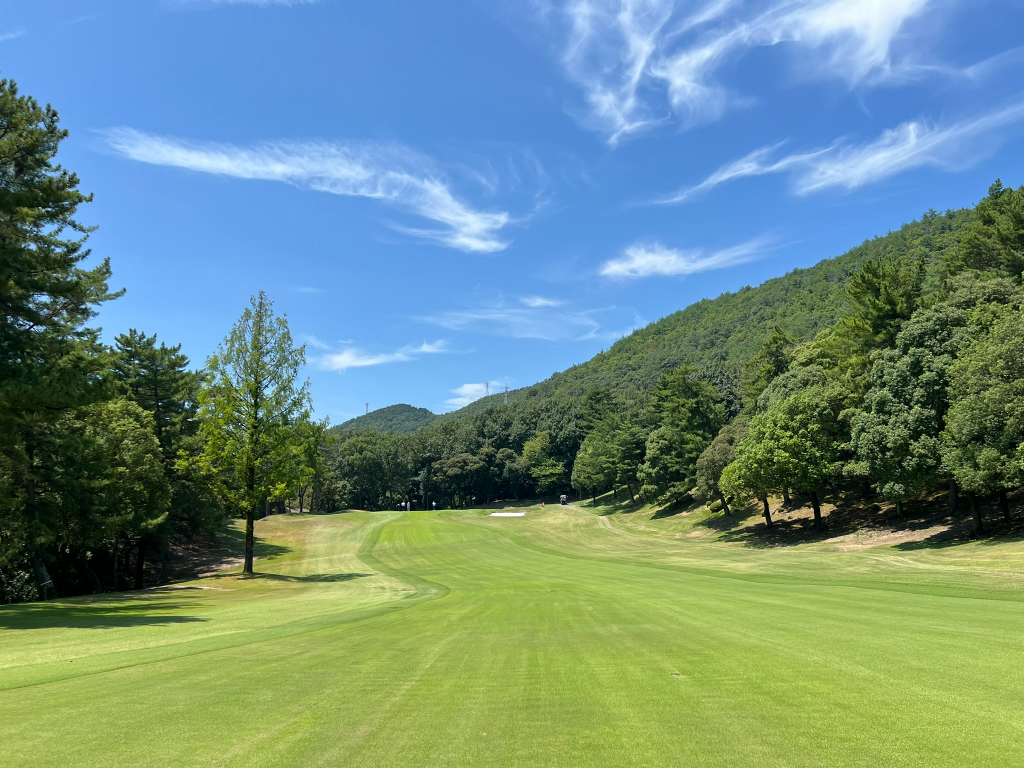 岐阜カンツリー　１５番コース画像