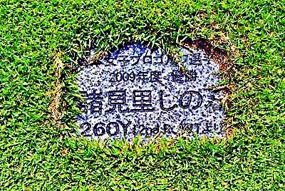 岐阜関 諸見里プロ